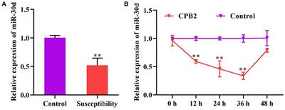 miR-30d Inhibition Protects IPEC-J2 Cells Against Clostridium perfringens Beta2 Toxin-Induced Inflammatory Injury